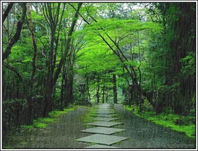 ​打油诗：雨