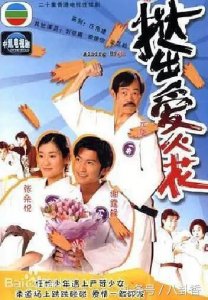 ​谢霆锋唯一一部TVB剧集，刘恺威、马德钟等参演，可惜收视却扑街