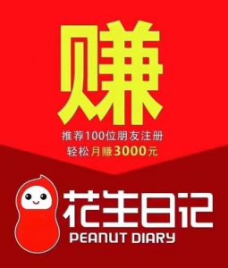 ​什么是花生日记？为什么要做花生日记？花生日记到底有多牛？