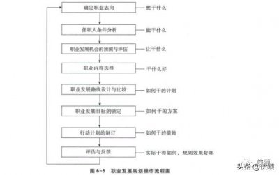 ​职业发展规划与管理的实施