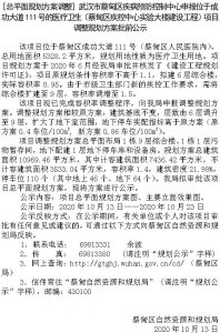 ​蔡甸以下区域的项目规划方案出炉，关于医疗卫生、商服项目