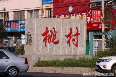 ​胶东三大重镇之一 栖霞桃村镇