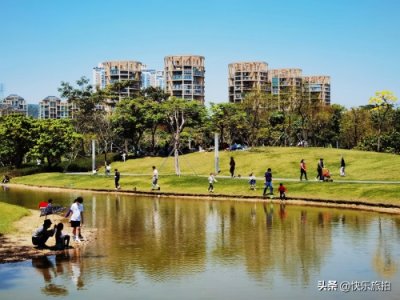 ​清明踏青深圳香蜜湖公园