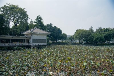 ​广州荔湾湖公园：64年前由群众义务开凿而成，今成市民休闲好去处