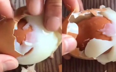 ​鸡蛋里面挑骨头