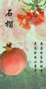 ​云南蒙自特产——石榴