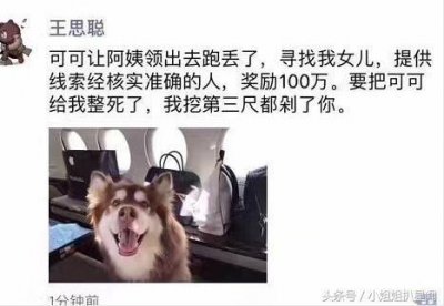​王思聪悬赏百万找爱狗 王可可是个碧池放话：不要做白日梦了 这位铁打的爱宠比