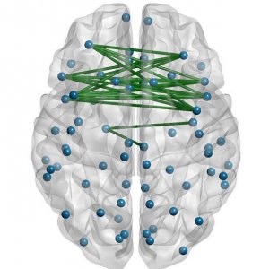 ​科学家发现右脑发达的人并非更有创造力，而是两个半脑互联的人