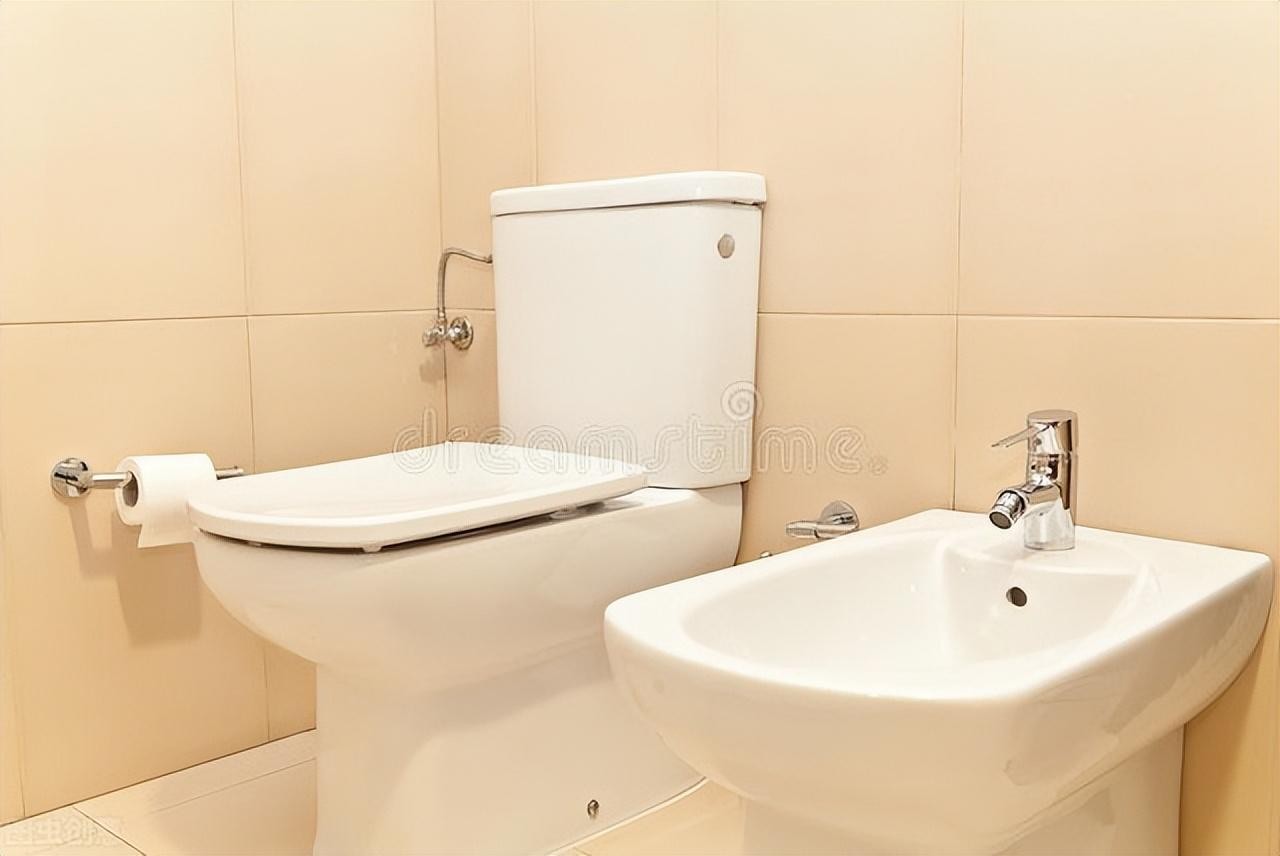 卫生间的黑色线虫怎么去除（厕所黑色线虫怎么清除）