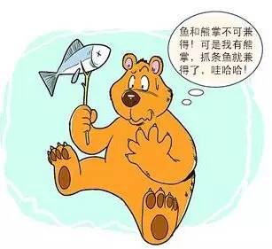 鱼和熊掌不可兼得原文(鱼和熊掌的人生感悟)