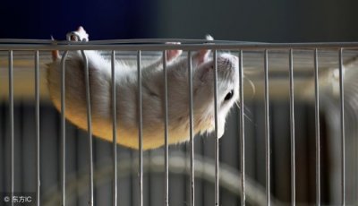 ​男人为什么会身体出轨（男人出轨都是为了性）