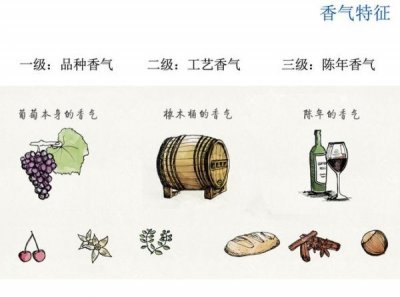 ​什么是陈年阿胶(什么是陈年艾草)