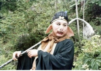 ​猪“八戒”，名字的由来