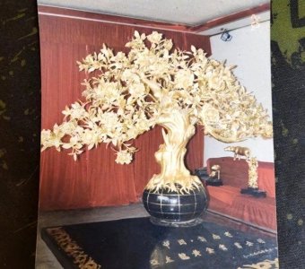 ​金茶花价值上亿，却在银行离奇失踪，女企业家追讨多年无果
