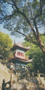 ​迷信还是传统？揭秘二月初二的三个忌讳，引发热议