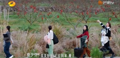 ​综艺《美好生活》收官惊喜：让我们更期待第二季吧