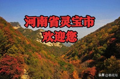 河南省灵宝市的概况