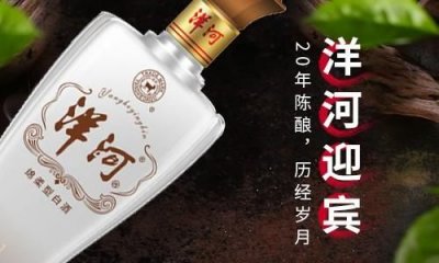 ​洋河迎宾系列酒价格表大全，洋河迎宾酒多少钱