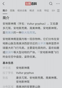 ​安第神鹰红葡萄酒价格，安第斯神鹰白葡萄酒
