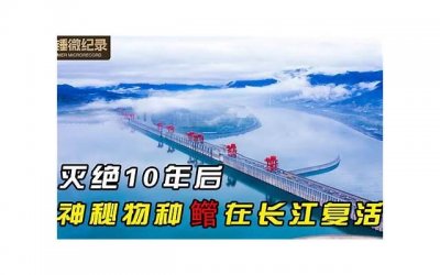 ​1、如何让你的爱情长存？解密爱情长久的方法