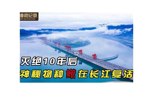 1、如何让你的爱情长存？解密爱情长久的方法