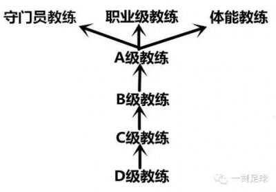​科普： PRO、A、B、C、D级，你了解足球教练等级吗？