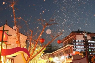 ​品小笼·逛老街  南翔古镇带你“蒸蒸日上”丨江南古镇品年味