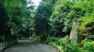 ​厦门集美，厦门一般什么人住集美