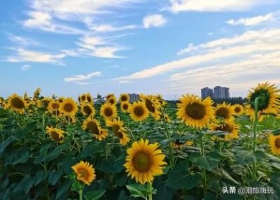 ​2月旅游胜地，二月旅游胜地