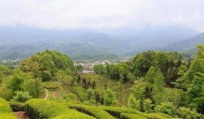 ​50个衢州最好玩的景点衢