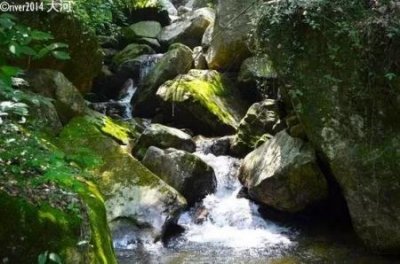 ​去巴厘岛花什么钱