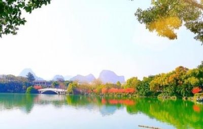 ​大唐芙蓉园怎么预约免
