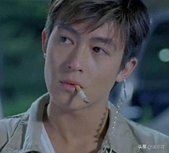​陈冠希当年到底有多受