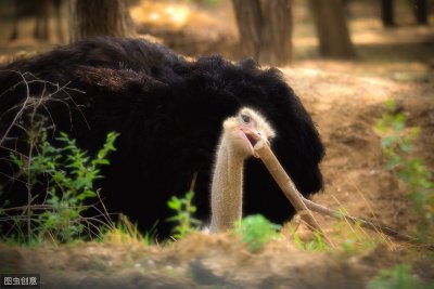 ​北京周边游的好去处分享之大兴野生动物园