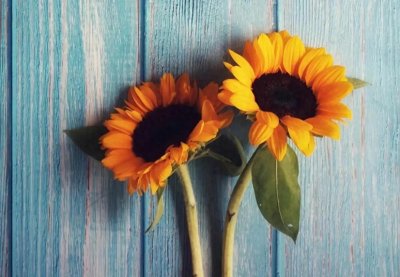 ​人生命运天注定，你是否认同？