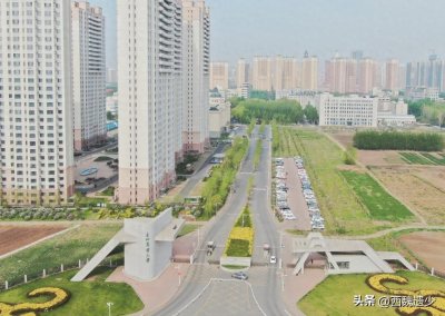 ​东北农大VS沈阳农大