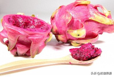 ​火龙果：从热带走来的美味宝藏