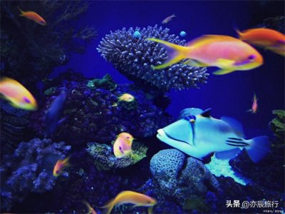 ​广东珠海6个最佳旅游景点，珠海周边好玩的地方推荐