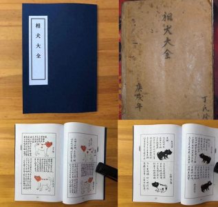 ​老祖宗流传的《相狗经》，熟记5句口诀，就能选到好狗