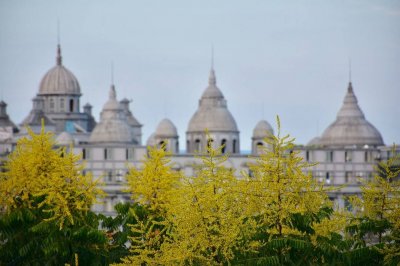 ​成都市金牛区协同外语学校  （原成都石室外语学校）2020年中考咨询公告