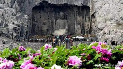 ​洛阳牡丹甲天下！菏泽牡丹甲洛阳！究竟谁更胜一筹？