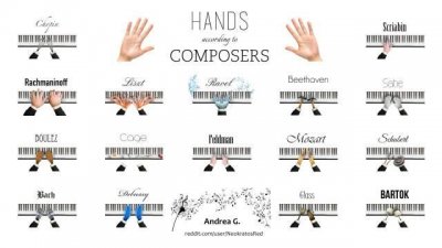 ​音乐家的手是什么样的？