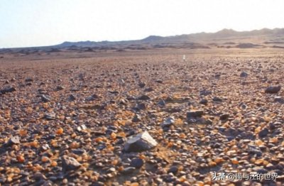 ​内蒙干涸湖底铺满“五彩石”，无人识货被随意捡走，3年损失20亿