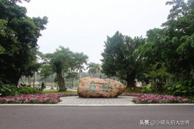 ​「广西南宁」南湖公园