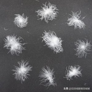 ​教你一招，羽绒服变废为宝，拿走不谢