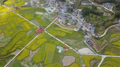 ​三穗：油菜花节民俗活动精彩纷呈