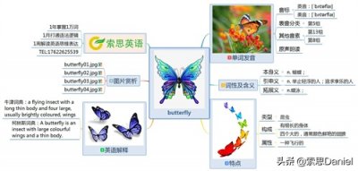 ​索思英语解码单词（第492个）——butterfly蝴蝶