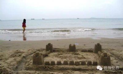 ​显微镜告诉你手上细菌到底长啥样！