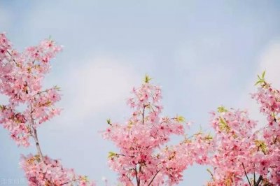 ​50岁的女人，还会发生婚外情吗？2个女人说出心里话