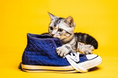 ​搞笑网名昵称，笑到抽